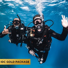 RSDS IDC Gold Package