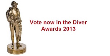 Vote for us in the DIVER Awards 2013!!