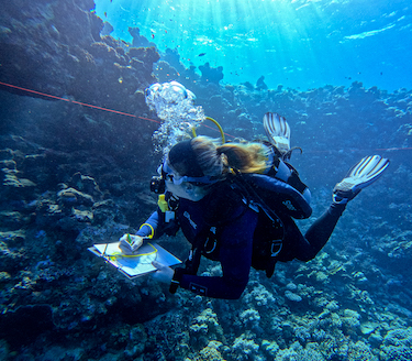 Reef Check Survey in Nakari