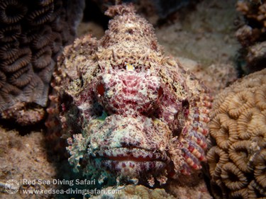 July Photo Competition 2025 - Winner Announced!
