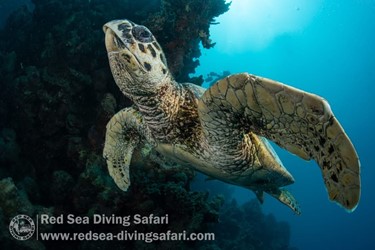 June Photo Competition 2025 - Winner Announced!