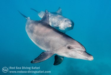 November Photo Competition 2025 - Winner Announced!