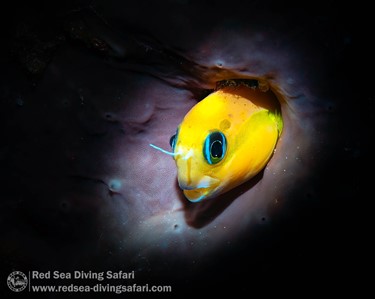 May Photo Competition 2025 - Winner Announced!