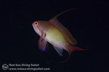 March Photo Competition 2024 - Winner Announced!