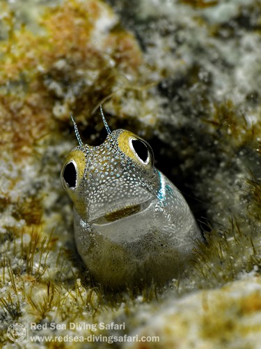 April Photo Competition 2024 - Winner Announced!