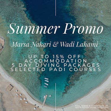 Sun, Sea, and Savings – Summer Offer 2025 at Marsa Nakari & Wadi Lahami!