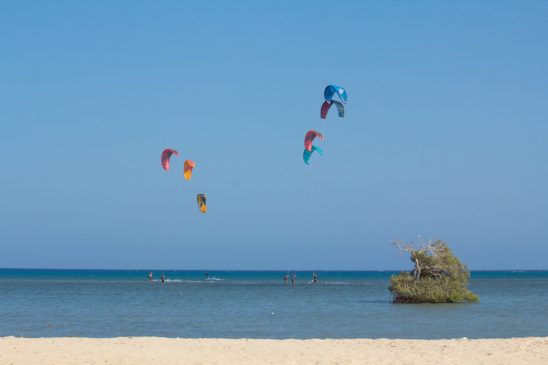 Kitesurfing in Laayoune Plage - El Marsa, El Marsa, Western Sahara - Kite  Jungle