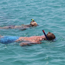 Snorkeling