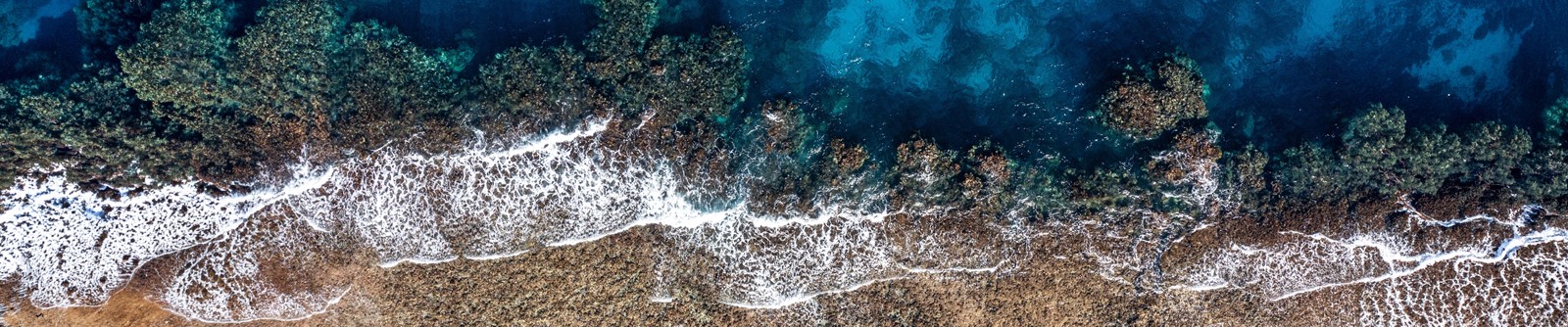 DISCOVER THE WONDERS OF THE RED SEA FROM OUR THREE LOCATIONS