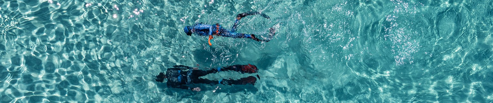 FREE DIVING