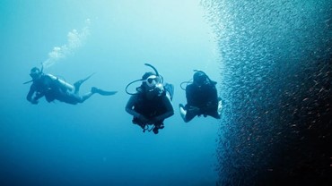 Deep Diver Speciality
