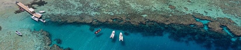 House Reef Protection
