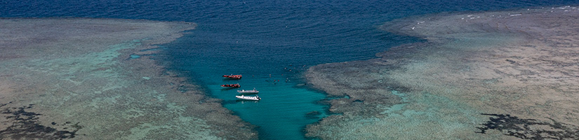 House Reef Protection