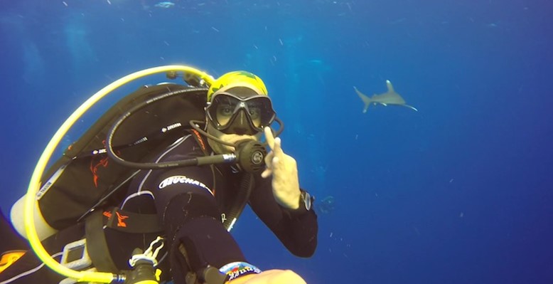 Oceanic White Tips at Elphinstone by Ahmed