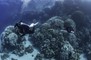 Red Sea Diving Safari Tec Diving