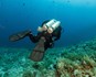 Red Sea Diving Safari Tec Diving