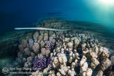 April Photo Competition 2025 - Winner Announced!