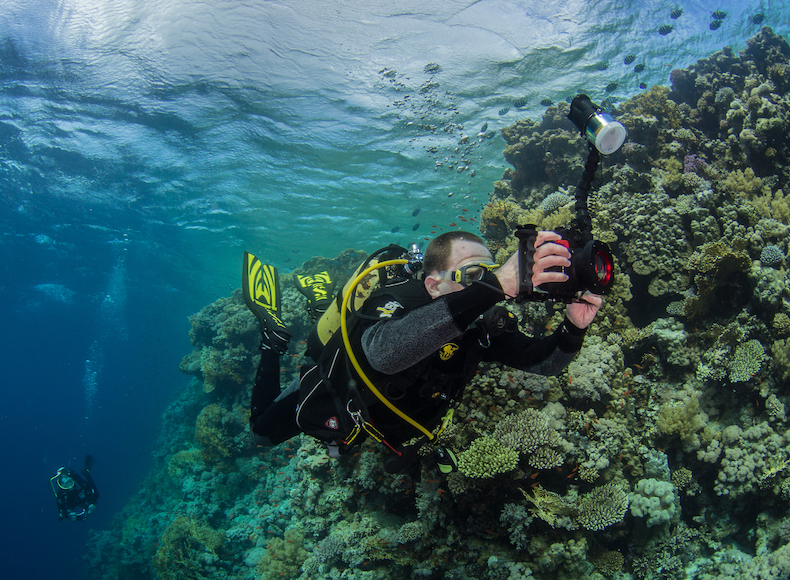 red sea safari diving