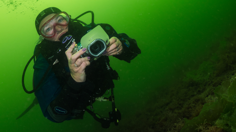 Red Sea Photo Camp