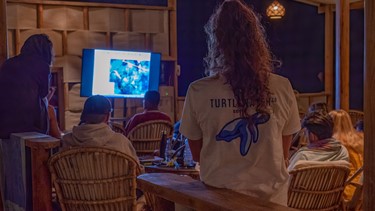 Turtlewatch presents to University of Sussex students at Marsa Shagra