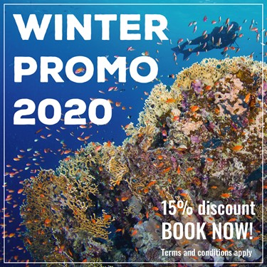 Winter Promo 2020 - Offer Extended!