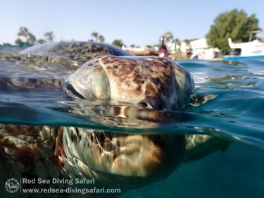 October Photo Competition 2025 - Winner Announced!