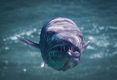 December Photo Competition 2025 - Winner Announced!