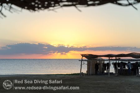 Old Dive Shade in Lahami by Frank Tropschuh 