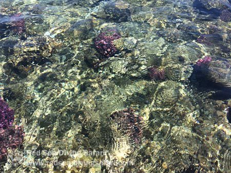 Crystal Clear