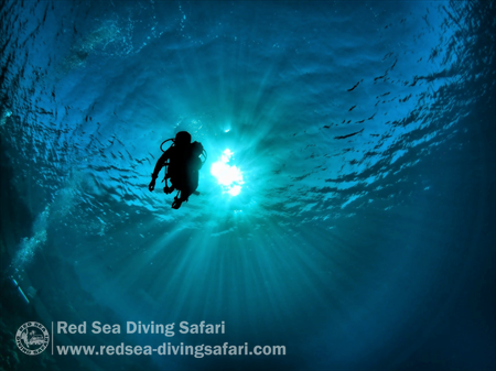  diving is magical